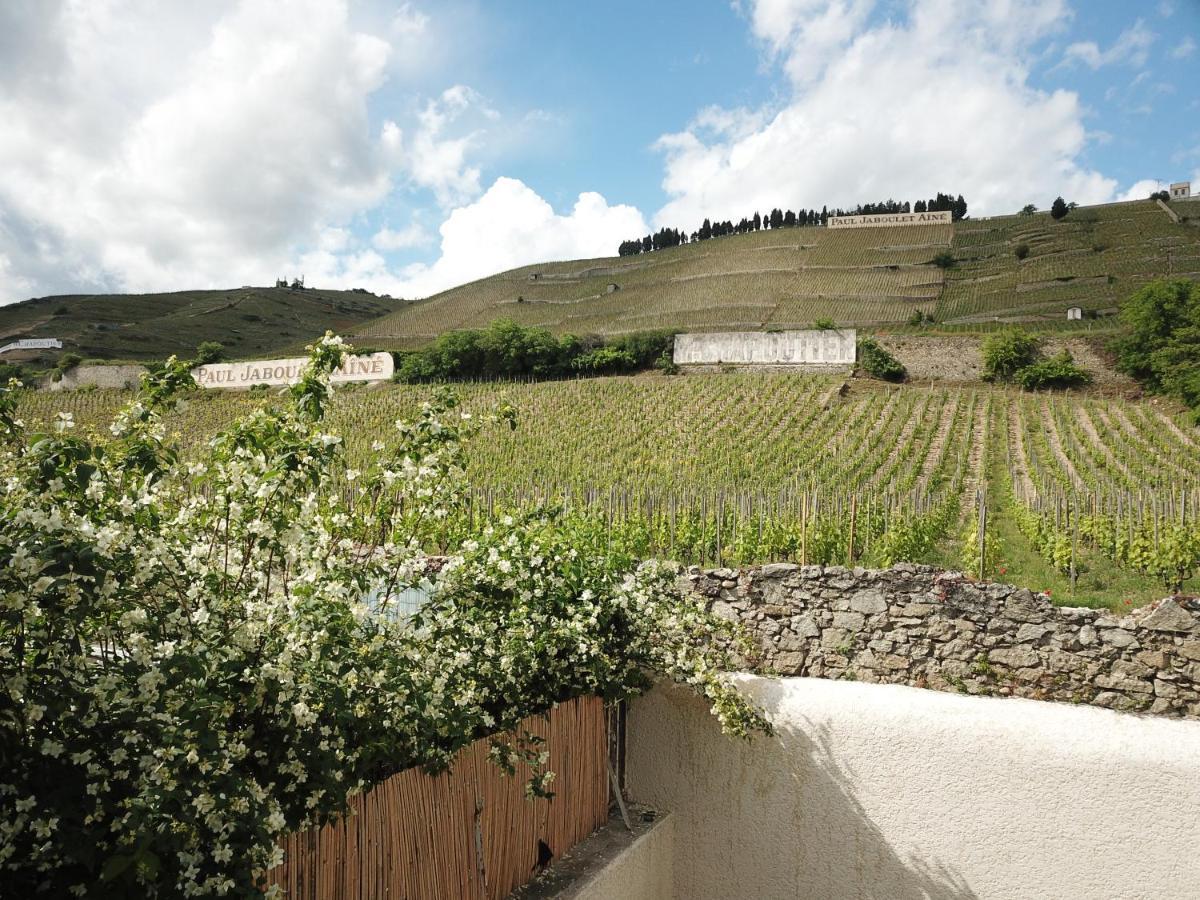 Le Pavillon De L'Hermitage - Spa Ouvert D'Avril A Octobre Tain-lʼHermitage Dış mekan fotoğraf